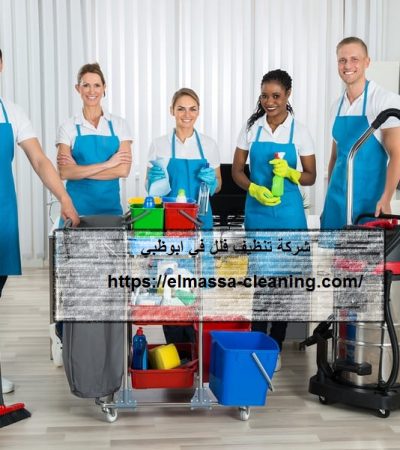 شركه تنظيف فلل في ابوظبي