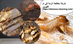 شركة مكافحة الرمة فى ام القيوين