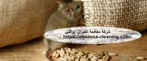 [صورة: %D8%B4%D8%B1%D9%83%D8%A9-%D9%85%D9%83%D8...00x126.jpg]