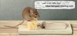 [صورة: %D8%B4%D8%B1%D9%83%D8%A9-%D9%85%D9%83%D8...00x143.jpg]