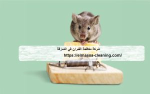 [صورة: %D8%B4%D8%B1%D9%83%D8%A9-%D9%85%D9%83%D8...00x188.jpg]