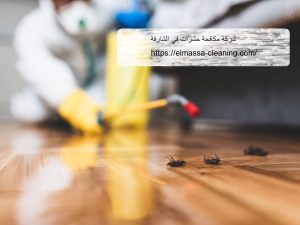[صورة: %D8%B4%D8%B1%D9%83%D8%A9-%D9%85%D9%83%D8...00x225.jpg]
