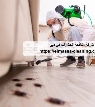 شركة مكافحة الحشرات في دبي
