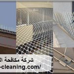 شركة مكافحة الحمام فى الشارقة