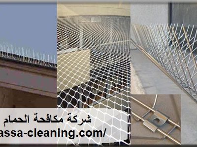 شركة مكافحة الحمام فى الشارقة