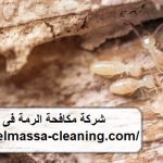 شركة مكافحة الرمة فى العين