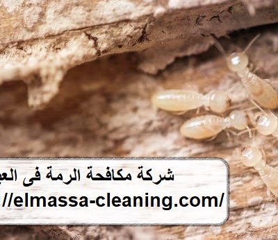 شركة مكافحة الرمة فى العين