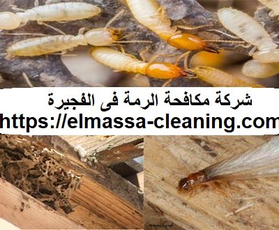 شركة مكافحة الرمة فى الفجيرة