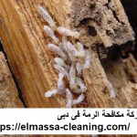 شركة مكافحة الرمة فى دبى