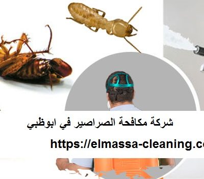 شركة مكافحة الصراصير في ابوظبي