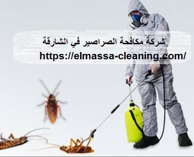 شركة مكافحة الصراصير في الشارقة