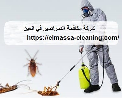 شركة مكافحة الصراصير في العين