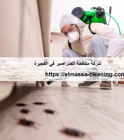 شركة مكافحة الصراصير في الفجيرة