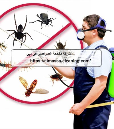 شركة مكافحة الصراصير في دبي