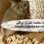 شركة مكافحة الفئران ابوظبي