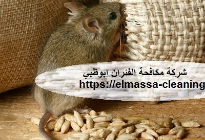 شركة مكافحة الفئران ابوظبي