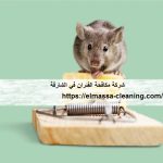 شركة مكافحة الفئران في الشارقة