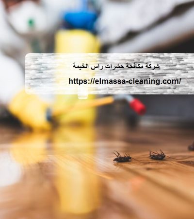 شركة مكافحة حشرات راس الخيمة
