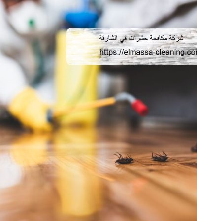 شركة مكافحة حشرات في الشارقة