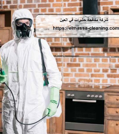 شركة مكافحة حشرات في العين