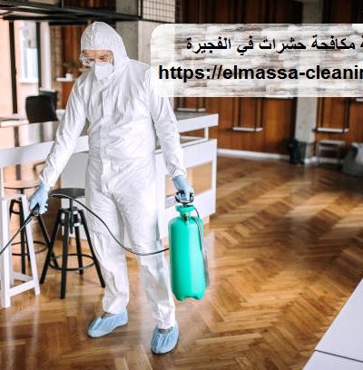 شركة مكافحة حشرات في الفجيرة