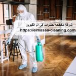 شركة-مكافحة-حشرات-في-ام-القيوين.