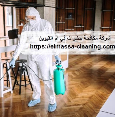 شركة-مكافحة-حشرات-في-ام-القيوين.